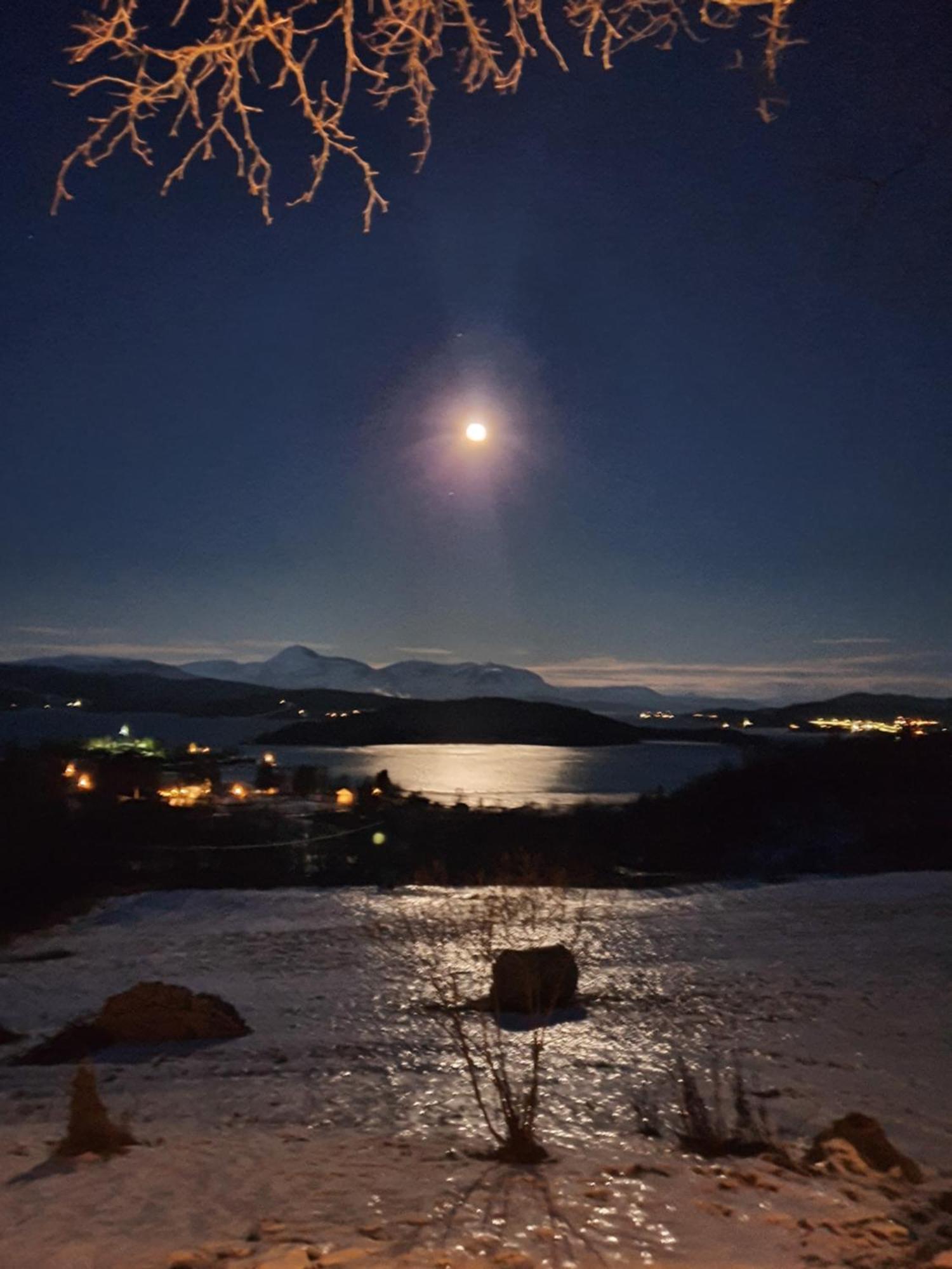 Finnvikhaugen Rooms Mestervik Rom bilde